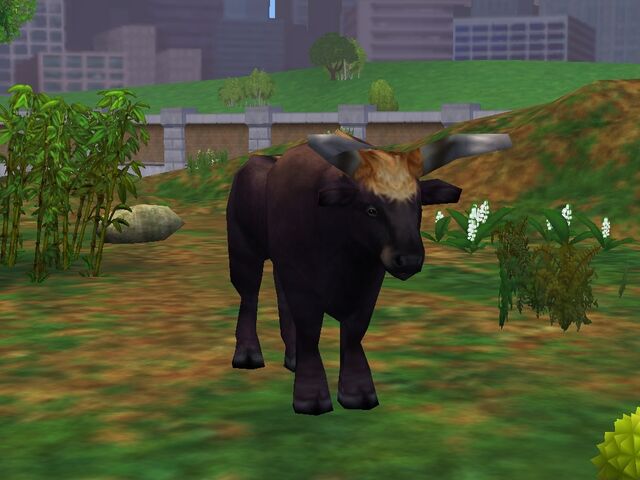 File:Aurochs.jpg