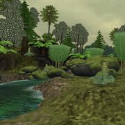 Preview temperaterainforest