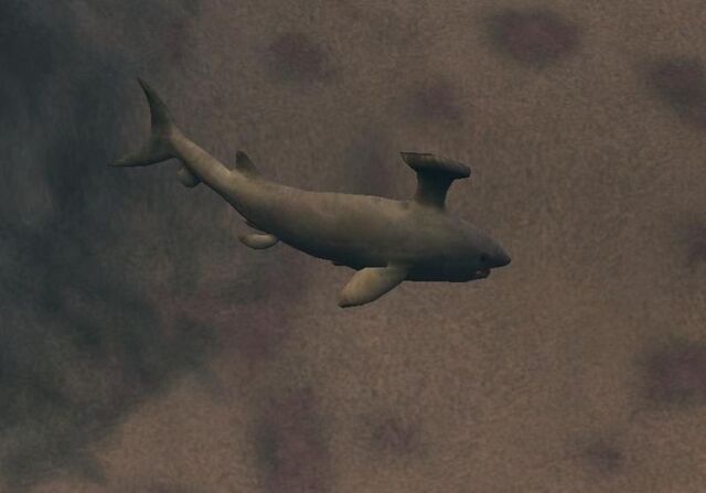 File:800px-Stethacanthus.jpg
