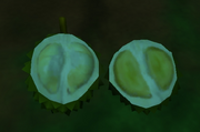 ZT2 Opened Durian