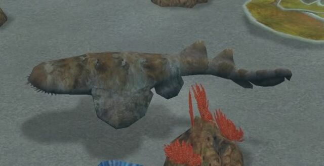 File:Ornate Wobbegong.jpg