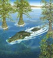 Deinosuchus