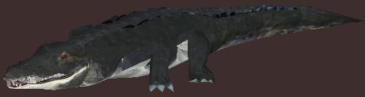 File:American Alligator 2.jpg