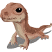 75 Desert-Iguana