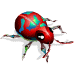 75 cottonHarlequinBug