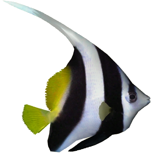 latest?cb=20160504224225