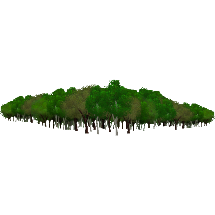 Image - Temperate Forest Trees Background (Bunyupy).png | ZT2 Download