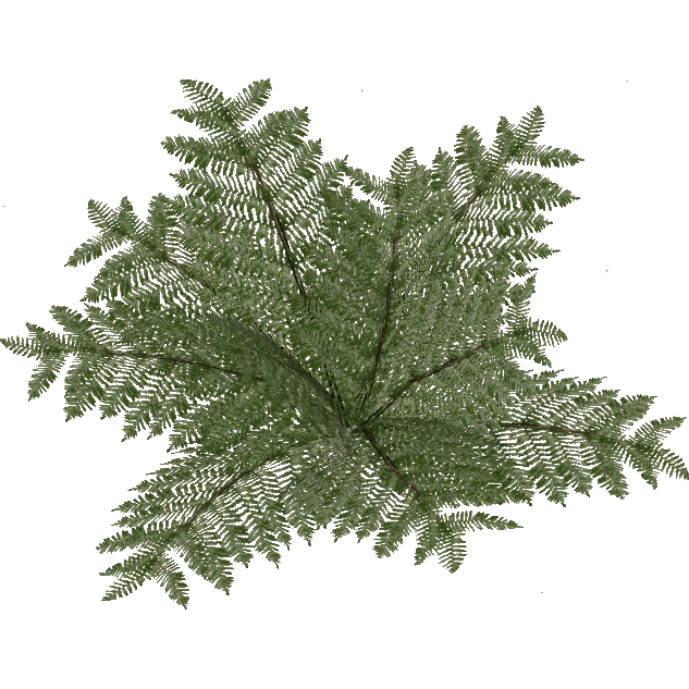 Bracken Fern (JimmyzHoopz) | ZT2 Download Library Wiki | FANDOM powered